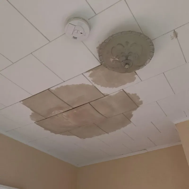 Ceiling Water Damage Repair in Cottonwood Falls, KS