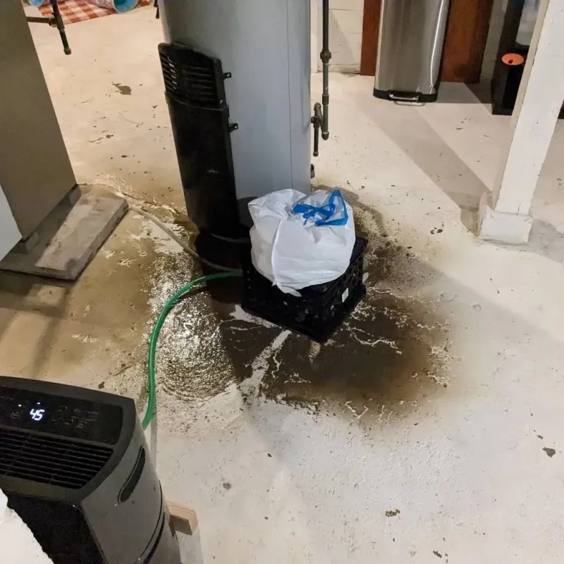 Sewage Backup Cleanup Service in Cottonwood Falls, KS